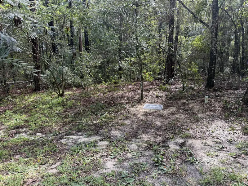 10061 N BISCAYNE DR, Citrus Springs, FL 34434