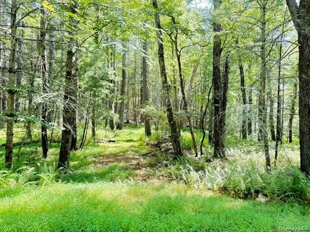 Lot 3.18 Fish Cabin RD, Glen Spey, NY 12737