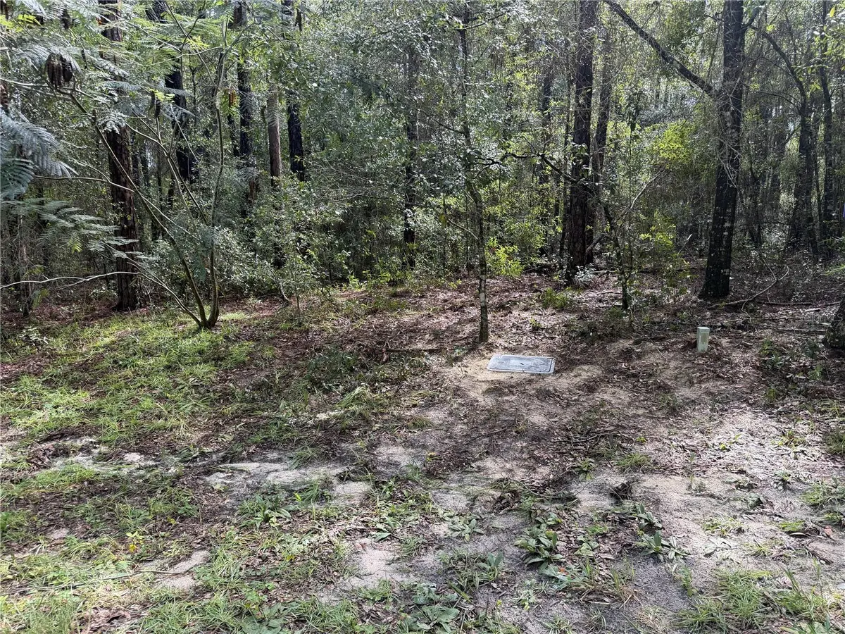 10061 N BISCAYNE DR, Citrus Springs, FL 34434