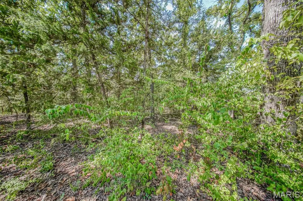 0 Faust CT, Rolla, MO 65401