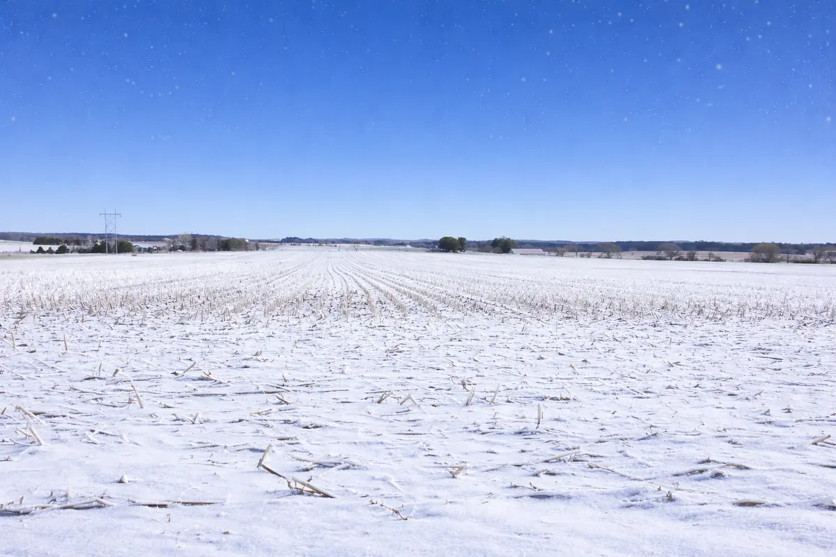 LOT 1 COUNTY ROAD T, Hammond, WI 54015