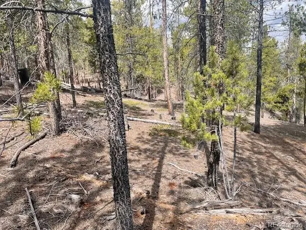 105 Parry Peak, Twin Lakes, CO 81251