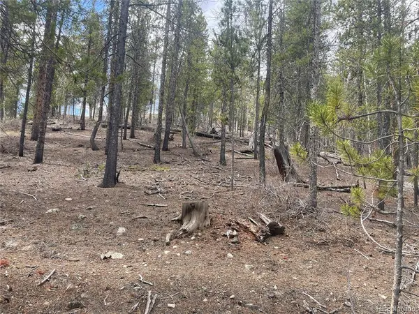 105 Parry Peak, Twin Lakes, CO 81251