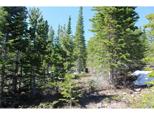 19420 Kingston Peak, Black Hawk, CO 80422