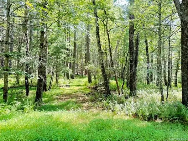 Lot 3.18 Fish Cabin RD, Glen Spey, NY 12737