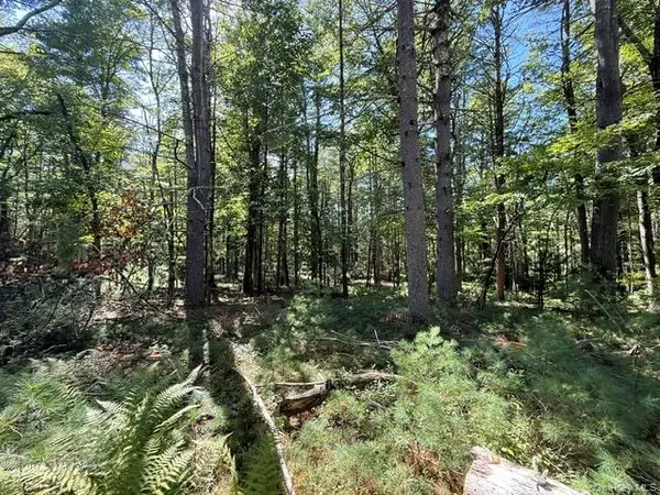 Lot 3.18 Fish Cabin RD, Glen Spey, NY 12737