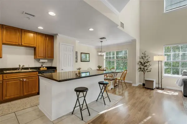 9872 MEADOW FIELD CIR #503, Tampa, FL 33626