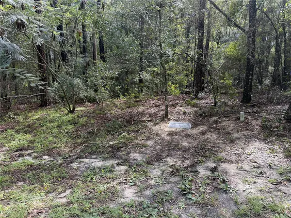 10061 N BISCAYNE DR, Citrus Springs, FL 34434