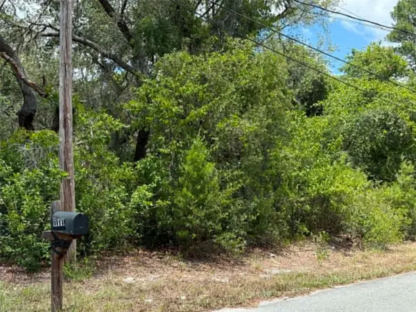 10051 WADDELL ST, New Port Richey, FL 34654