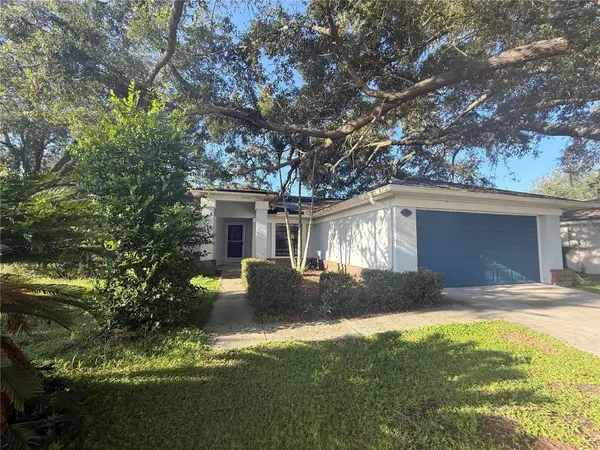 13311 HOLLOWBEND LN, Riverview, FL 33569