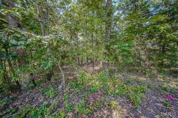 0 Faust CT, Rolla, MO 65401