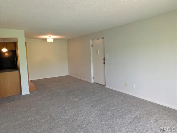 1438 Willow Brook CV #1, St Louis, MO 63146