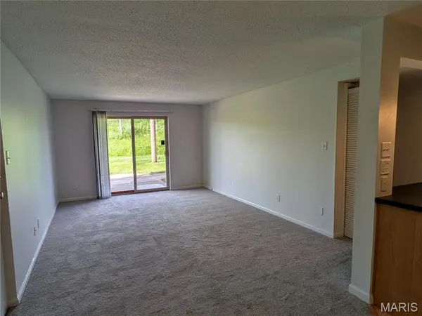 1438 Willow Brook CV #1, St Louis, MO 63146