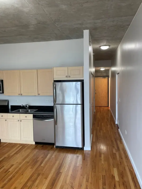 1620 S Michigan AVE #413, Chicago, IL 60616