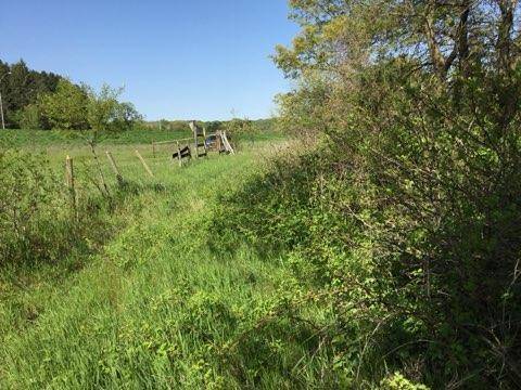 xxx County Road 24 & 63rd Ave, Cannon Falls, MN 55009