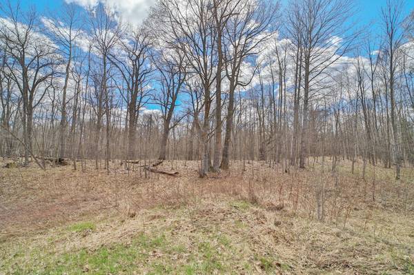 TBD Pioneer AVE, Aitkin, MN 56431