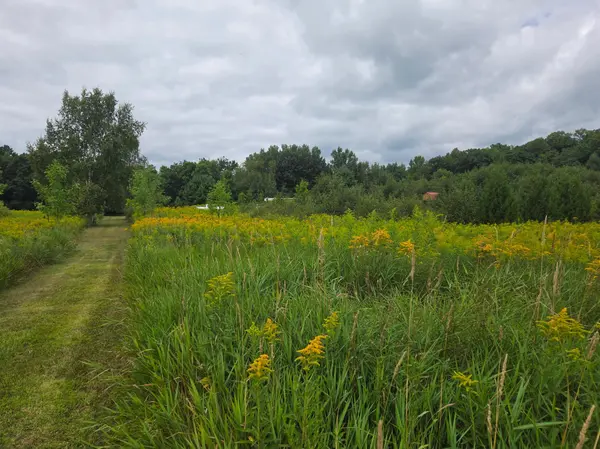 2979 12th ST, Barronett, WI 54813