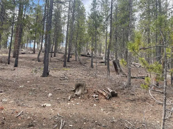 105 Parry Peak DR, Twin Lakes, CO 81251