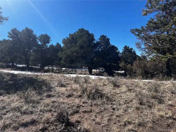 2161 Indian Well WAY, Crestone, CO 81131