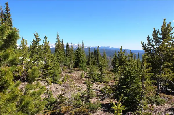 19420 Kingston Peak RD, Black Hawk, CO 80422
