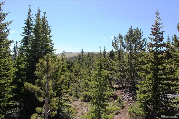 19420 Kingston Peak RD, Black Hawk, CO 80422