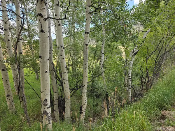 0000 Hyland DR, Evergreen, CO 80439