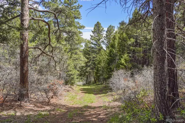 15947 S Perry Park RD, Palmer Lake, CO 80133