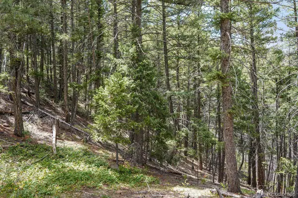 15947 S Perry Park RD, Palmer Lake, CO 80133