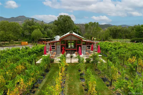 15805 Black Bridge RD, Paonia, CO 81428