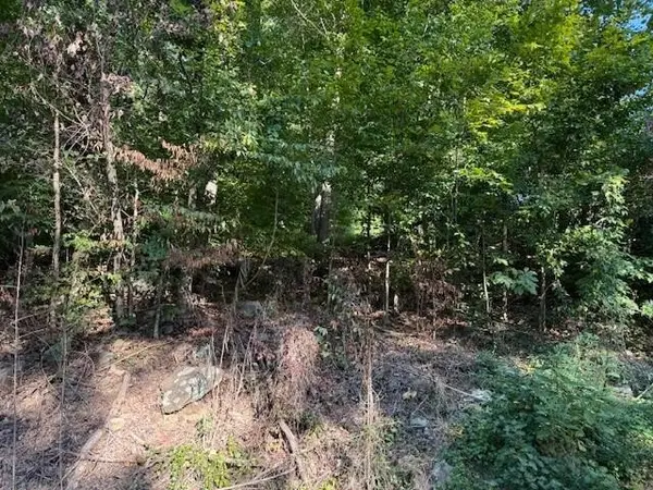 13 Mullins Cove Road, Whitwell, TN 37397