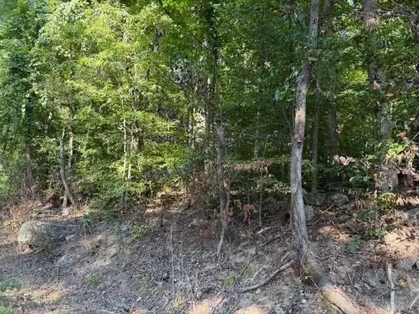 13 Mullins Cove Road, Whitwell, TN 37397
