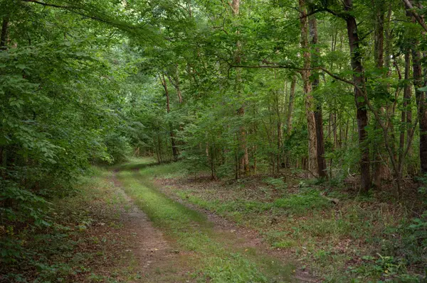 846 R Wilkerson Dr, Centerville, TN 37033