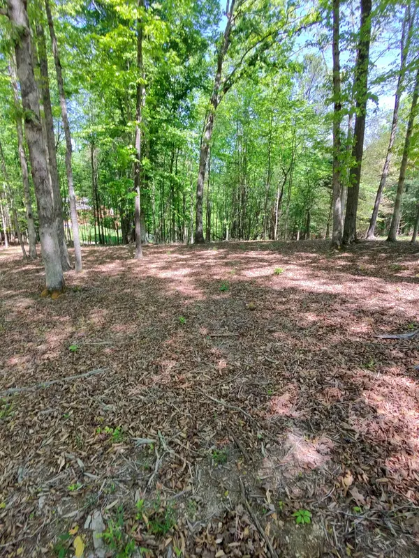 0 Four Seasons Dr, Smithville, TN 37166