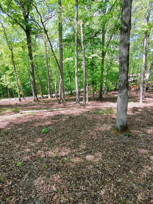 0 Four Seasons Dr, Smithville, TN 37166