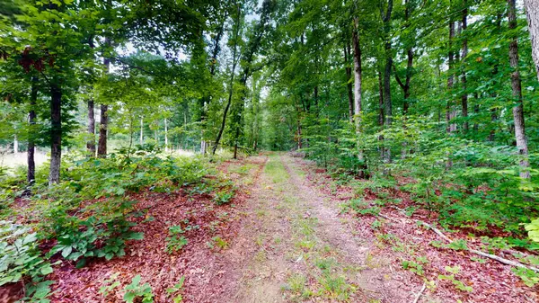 0 Little Hurricane Creek, Mc Ewen, TN 37101