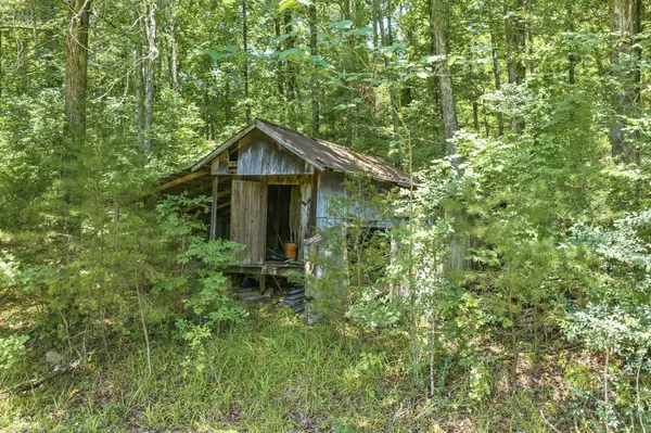 9558 Mount Carmel Rd, Decaturville, TN 38329