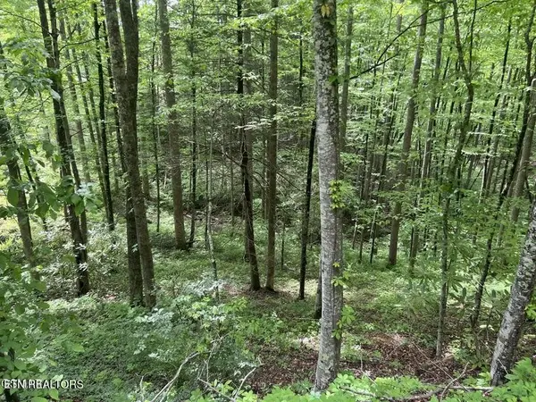 3 Old Cartertown Rd, Gatlinburg, TN 37738