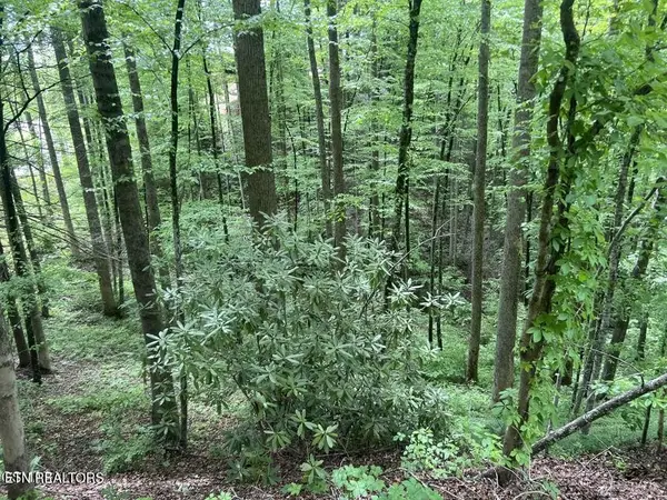 3 Old Cartertown Rd, Gatlinburg, TN 37738