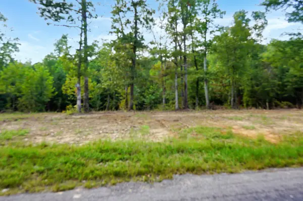 1 Freeman Fielder Rd, Stewart, TN 37175