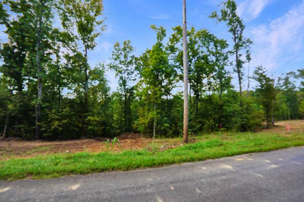 2 Freeman Fielder Rd, Stewart, TN 37175