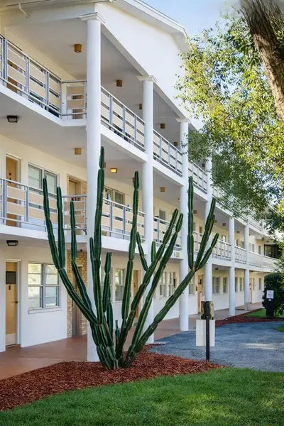 911 WASHINGTON AVE #117, Largo, FL 33770
