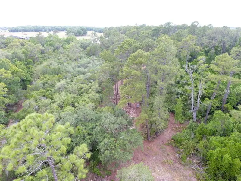 155 SNAKE HILL RD, Pomona Park, FL 32181