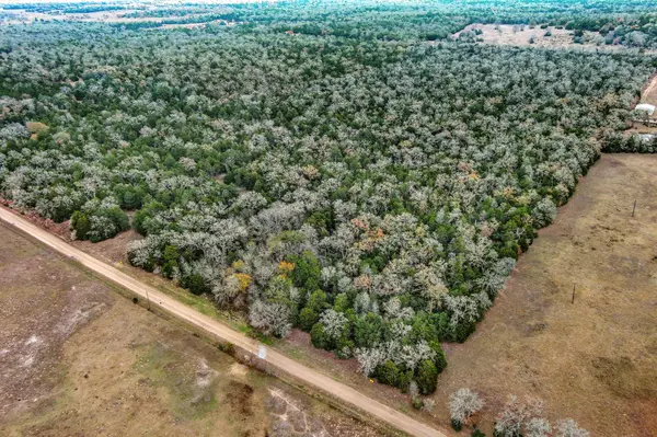 24 acres CR 332 RD, Paige, TX 78659
