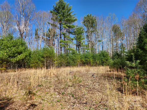 6033 Hwy 321 HWY, Sugar Grove, NC 28679