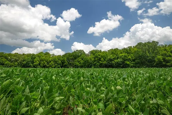 SW County 13007 RD, Hume, MO 64752
