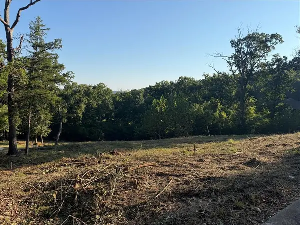 Lot 9 Country Ridge DR, Camdenton, MO 65020