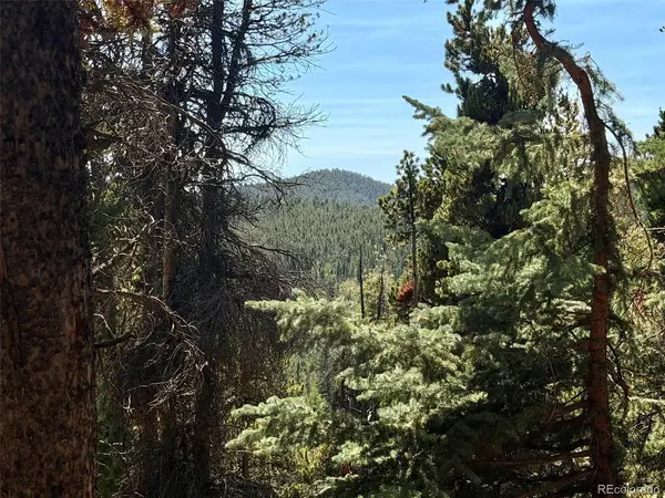 0 Lodgepole, Evergreen, CO 80439
