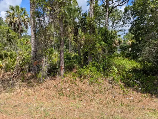 DELIGHT AVE, North Port, FL 34288