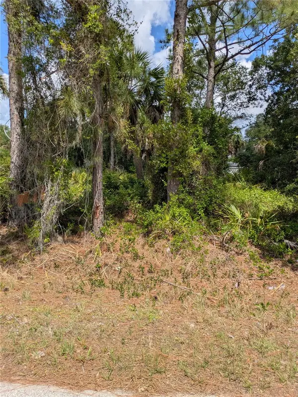 DELIGHT AVE, North Port, FL 34288