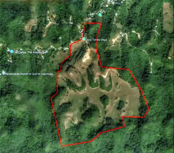 Carr 626 BO CALICHOZA, Arecibo, PR 00613
